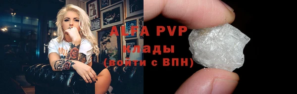 мдпв Инта