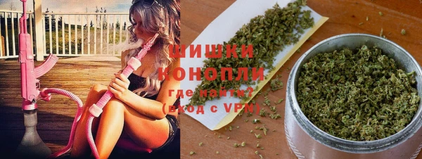 мдпв Инта